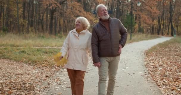 Starszy Mężczyzna Kobieta Cieszą Się Spędzaniem Wolnego Czasu Parku Jesienią — Wideo stockowe
