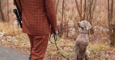 Güvenilir ve itaatkar bir köpek sahiplerinin ağır çekimde emirlerini bekliyor, evcil hayvan, kahverengi takım elbiseli ve tüfekli adama bakıyor. İyi huylu, akıllı bir eş..