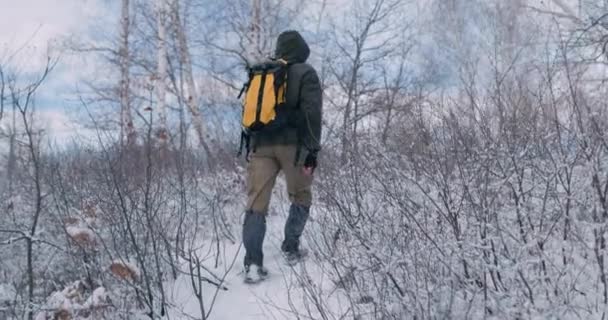 Ambitny Zmotywowany Wędrowiec Trekking Dzień Słoneczny Zimowy Dzień Powolny Ruch — Wideo stockowe