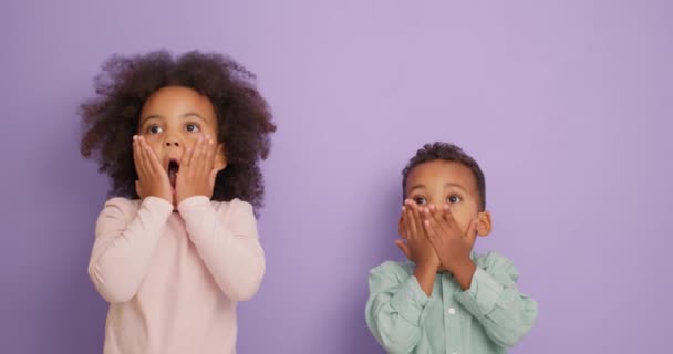 Bonito Adorável Afro Americano Crianças Expressando Surpresa Choque Wow Com — Vídeo de Stock