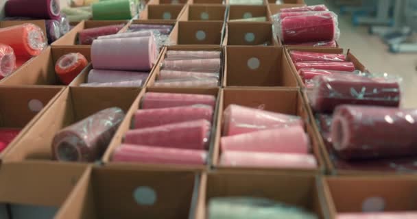 アトリエの箱の異なる色のスプールをローします ミシンのためのカラフルな糸の選択 仕立て装置のコンセプト スレッドの多彩なボビン — ストック動画