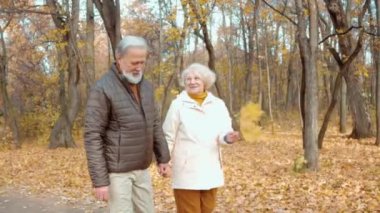 Orman parkında yürüyüş yapan mutlu, romantik yaşlı çift, sonbahar günü, kır saçlı adam ve kadın şehir parkında yürüyor, sonbahar havası. güçlü bir aşk ilişkisi, sonsuza kadar arkadaşlık