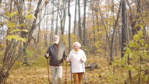快乐而严肃的情侣们在秋天崇敬美丽的森林慢动作快乐的男人和女人站在公园里聊天 享受时光 身体和精神健康 — 图库视频影像