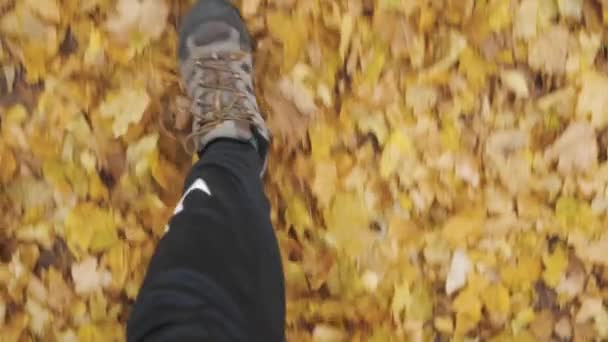 男子漫步在黄叶丛生的小径上俯瞰全景男子探索秋天秋天的森林探险远足远足 — 图库视频影像