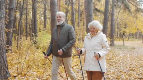 노인과 여자는 숲에서 특이한 날짜를 가지고 사람들은 공통의 신체적 피트니스 — 비디오