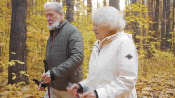 スカンジナビアのトレッキングスティックで歩くシニアカップル 人々は緑色の黄色い森の公園で北極を保持しています ハイカー カップル トレーニング アウトドア ノルディックフィート ステップ クローズアップ スローモーション — ストック動画