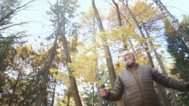 Gammal Lycklig Man Står Bland Awesome Vackra Magiska Träd Höst — Stockvideo
