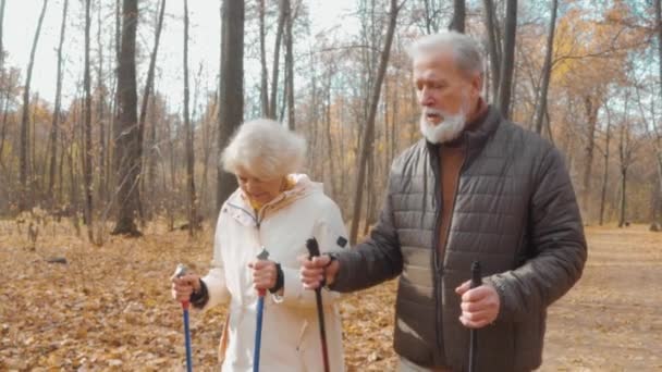 사람들과 즐거운 노인과 라이프 스타일 슬로우 어드벤처 — 비디오