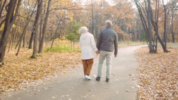 Любящие Старики Гуляют Природе Веселятся Лесном Парке Милые Дедушка Бабушкой — стоковое видео