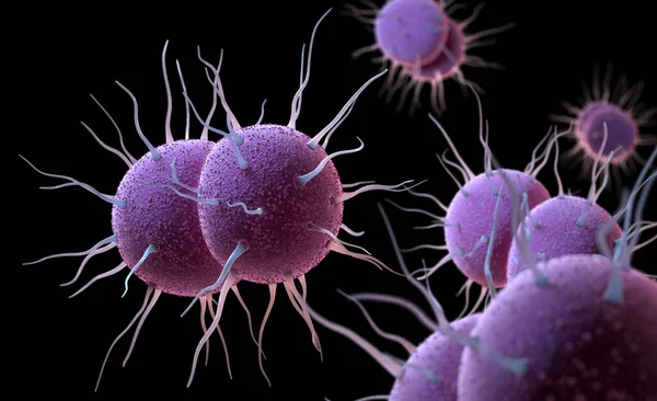 細菌性感染症淋病の責任者 イラストレーション — ストック写真