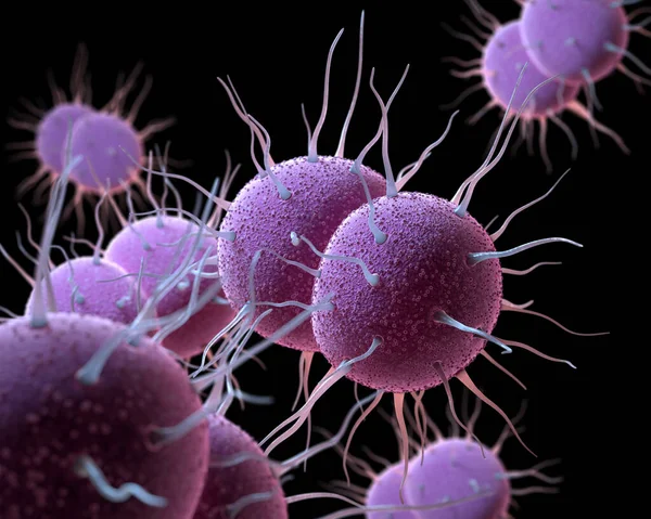 Neisseria Gonorrhoeae Бактерия Ответственная Инфекцию Передающуюся Половым Путем Гонорея Иллюстрация — стоковое фото