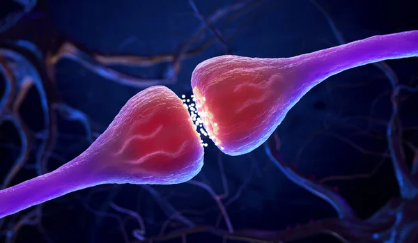 Synaps Neuron Cellen Zenden Elektrische Chemische Signalen Uit Illustratie — Stockfoto
