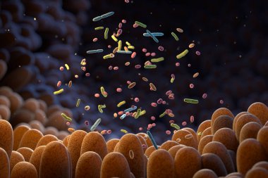 Intestinal bacteria. Microbiome. Gut microbiome helps control intestinal digestion and the immune system. Probiotics are beneficial bacteria used to help the growth of healthy gut flora. 3d illustration. clipart