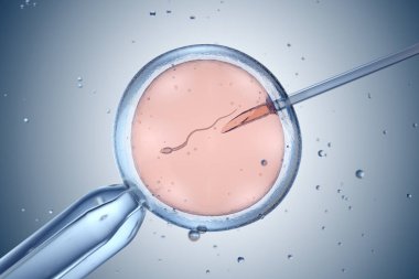 Artificial insemination or in vitro fertilization. 3D illustration clipart