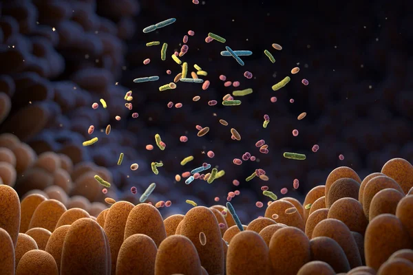 Tarmbakterier Mikrobiom Gutmicrobiomen Hjälper Kontrollera Intestinal Matsmältning Och Immunförsvaret Probiotika — Stockfoto
