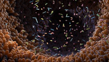 Intestinal bacteria. Microbiome. Gut microbiome helps control intestinal digestion and the immune system. Probiotics are beneficial bacteria used to help the growth of healthy gut flora. 3d illustration. clipart
