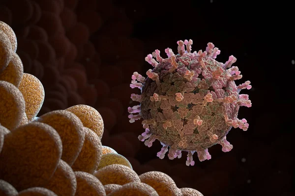 Rotavirus Sulla Superficie Microvilli Del Sistema Digestivo Molto Contagioso Provoca — Foto Stock