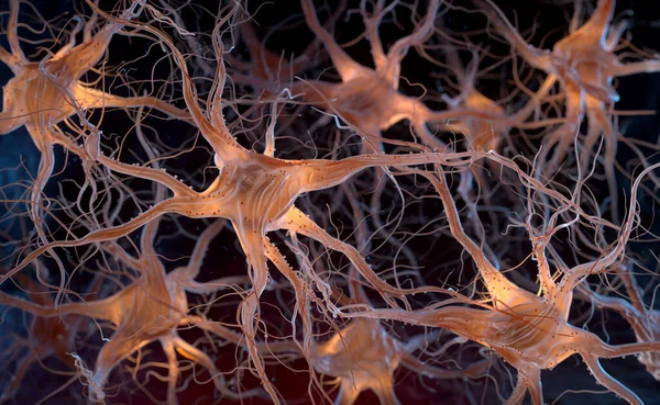 Neurons also known as neurones or nerve cells. Neurons transmit information between different parts of the brain and between the brain and the rest of the nervous system. 3d illustration
