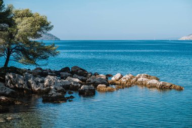 Deniz kıyısının güzel manzarası