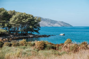 Deniz kıyısının güzel manzarası