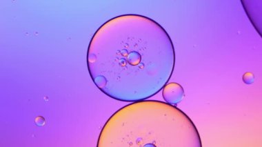Sıvıdaki yağ kabarcıklarının üst görüntüsü. Yağ yüzeyi çok renkli arka plan. Renkli kabarcıklardan oluşan fantastik bir yapı. Suda yüzen yağ damlasının renkli sanatsal görüntüsü