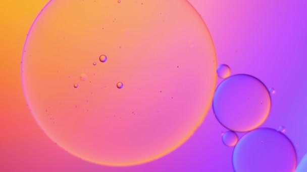 Złoty Fioletowy Kolor Artystyczny Kropli Oleju Pływających Wodzie Pastelowa Bańka — Wideo stockowe
