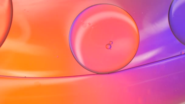 Pastel Color Bubble Background Orange Background Oil Drop — Stock Video