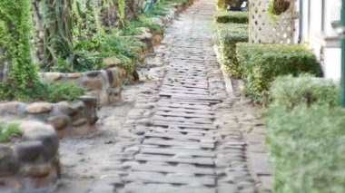 Bahçenin girişinde, kenarlarında palmiye ağaçları var.