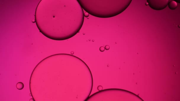 Růžová Bublina Barvy Pro Pozadí Pomerančové Pozadí Kapky Oleje — Stock video