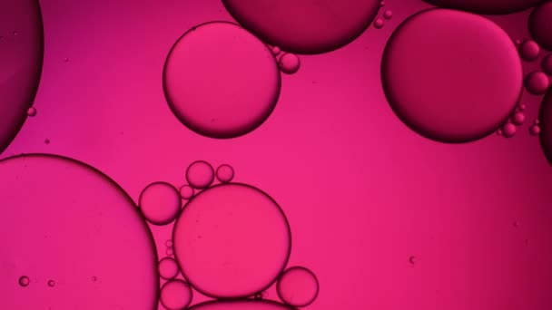 Rosa Artística Gota Aceite Flotando Agua Burbuja Color Pastel Para Metraje De Stock