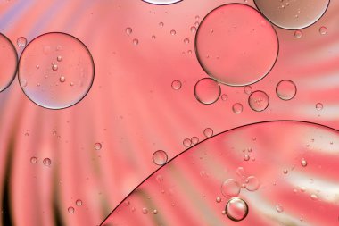 Suyun üzerinde yüzen yağ damlasının renkli sanatçısı.