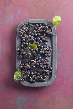 Taze toplanmış yapraklı Aronia üzümü.