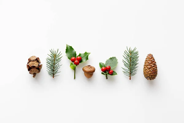 Raccolta Piante Decorative Natale Granturco Pigne Bacche — Foto Stock