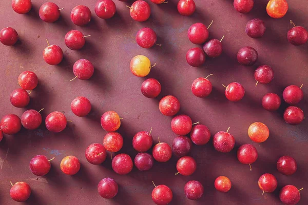 Massor Röda Körsbärsplommon Prunus Cerasifera Ekologisk Frukt Hemmaplan Royaltyfria Stockfoton
