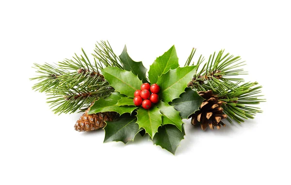 Christmas Decoration Holly Berry Pine Cone Winter Natural Decoration — Stock Photo, Image