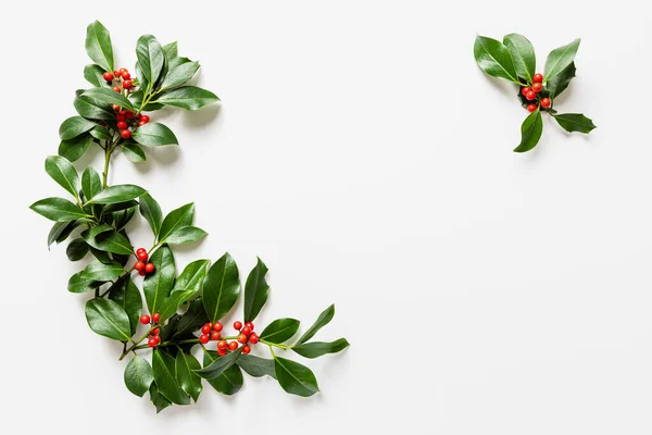 Holly Bladeren Met Rode Bessen Witte Achtergrond Natuurlijke Winterdecoratie — Stockfoto