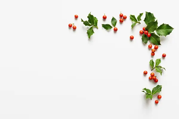Holly Bladeren Met Rode Bessen Witte Achtergrond Natuurlijke Winterdecoratie Stockfoto