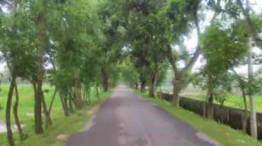 Speed motion view of the street.Roadside view with trees.Beautiful green trees both side of the road.