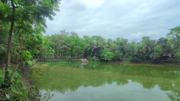 Fredfyldt Udsigt Dam Med Refleksion Mind Forfriskende Natur Med Himlen – Stock-video