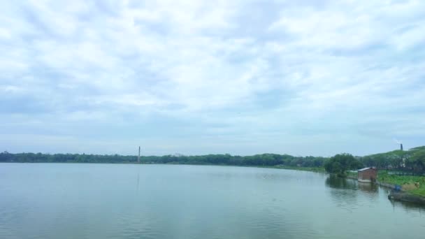 Belle Vue Sur Lac Ciel Bleu Avec Oiseau Volant Réflexion — Video