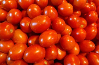 The tomato is the edible berry of the plant Solanum lycopersicum,commonly known as the tomato plant.