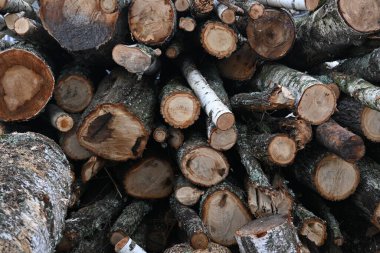 Rown odunları, kışın ev ısıtması için yakacak odunlar, çam, meşe kütükleri, odun, kışın ısıtma, gaz ve elektrik olmadan, kışın ısınmak için hazırlık, hatta yakacak odun bile.