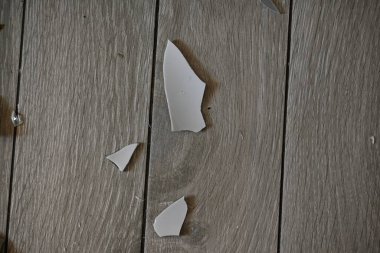 Gri zemindeki vazo parçaları, bir turşu sonrası, yerde kırılan vazo parçaları.