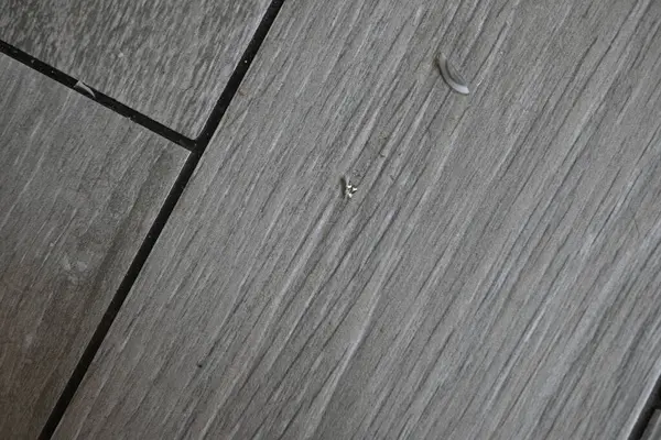 glass shards on the floor tiles
