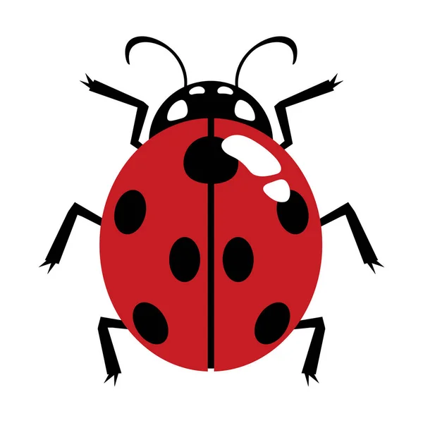 Beyaz Arka Planda Izole Edilmiş Şirin Kırmızı Benekli Uğur Böceği — Stok Vektör