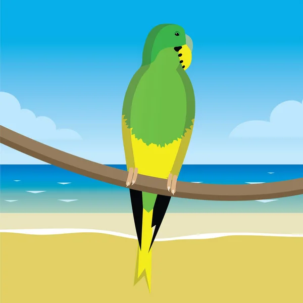 黄绿相间的鹦鹉栖息在沙滩上的树枝上 — 图库矢量图片