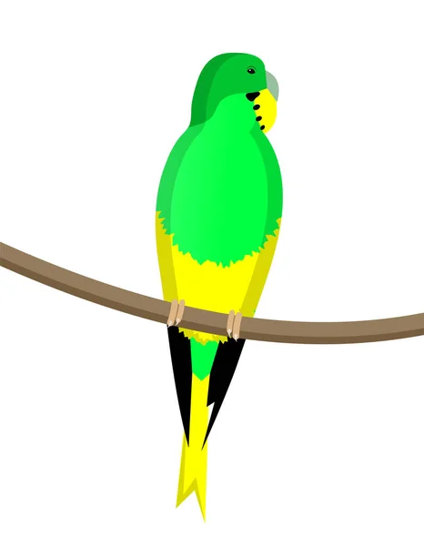 Желтый Зеленый Попугай Сидит Ветке Изолированы Белом Фоне — стоковый вектор