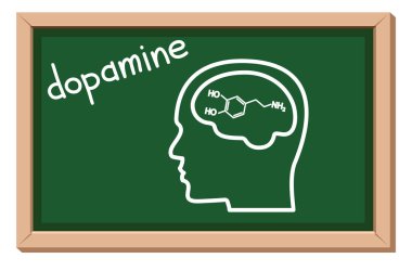 Dopamin, insan kafası ve beyni, karatahta