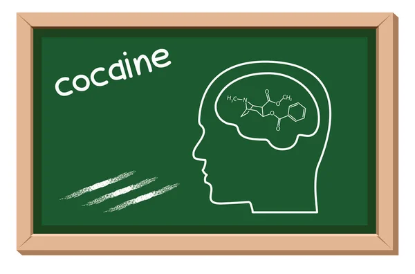 Cocaïne Structure Chimique Tête Humaine Cerveau Tableau Noir — Image vectorielle