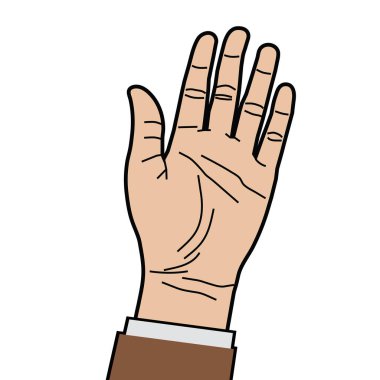 Açık el veya avuç içi, vektör illüstrasyonu